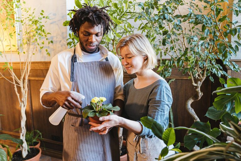 Essential Tips for Keeping Your Houseplants Healthy